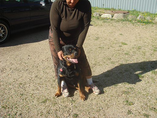 Kjellerup Hundepension